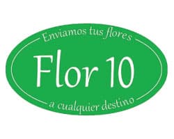 Ver más sobre el servicio de reparto de Flor10