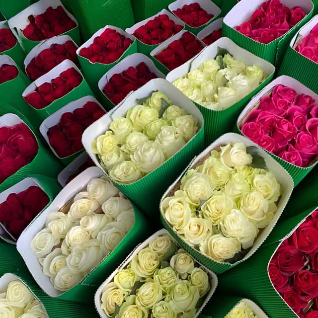 Haga sus encargos en nuestra floristería en Lugo