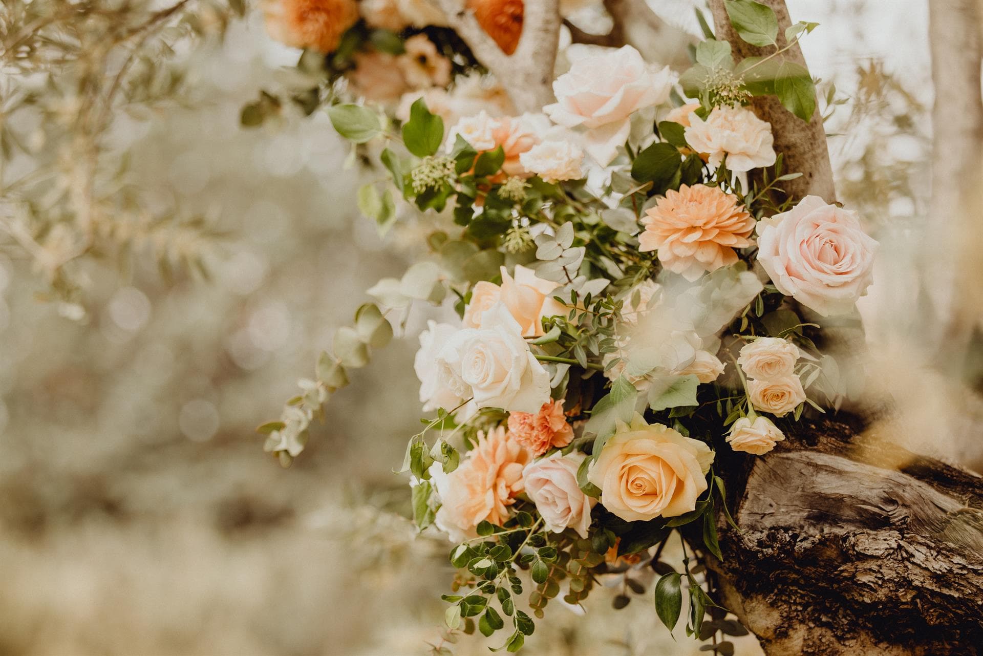 Flores para boda en Lugo