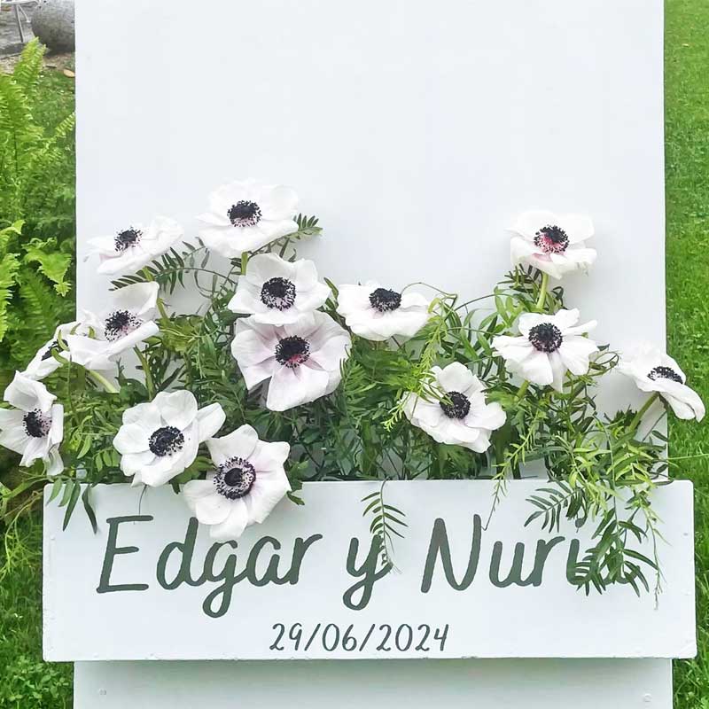 Descubra todas nuestras opciones de decoración para bodas en Lugo