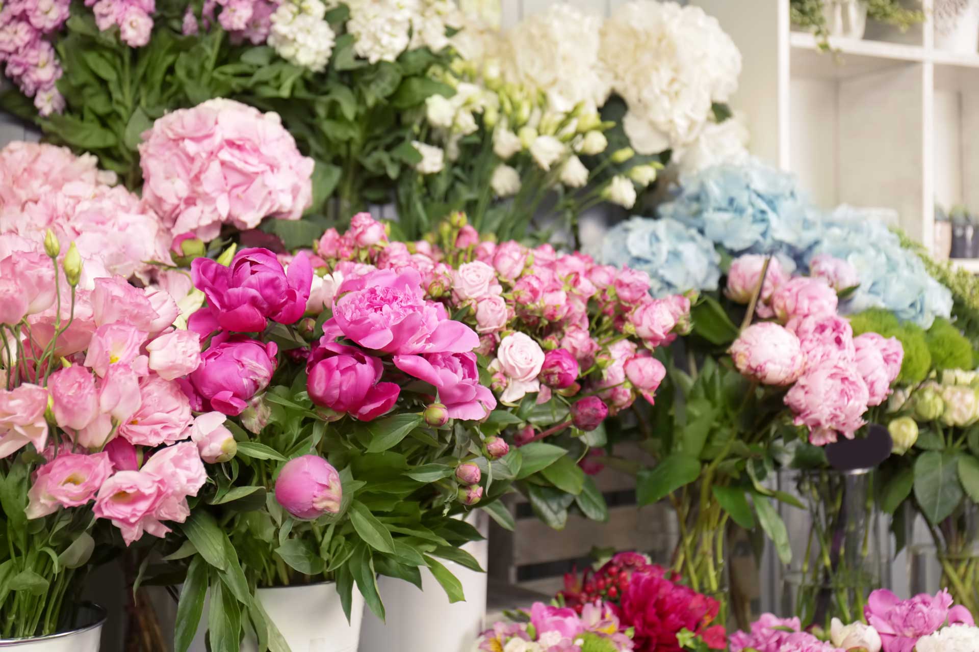 Venga a visitarnos a nuestra floristería en Lugo