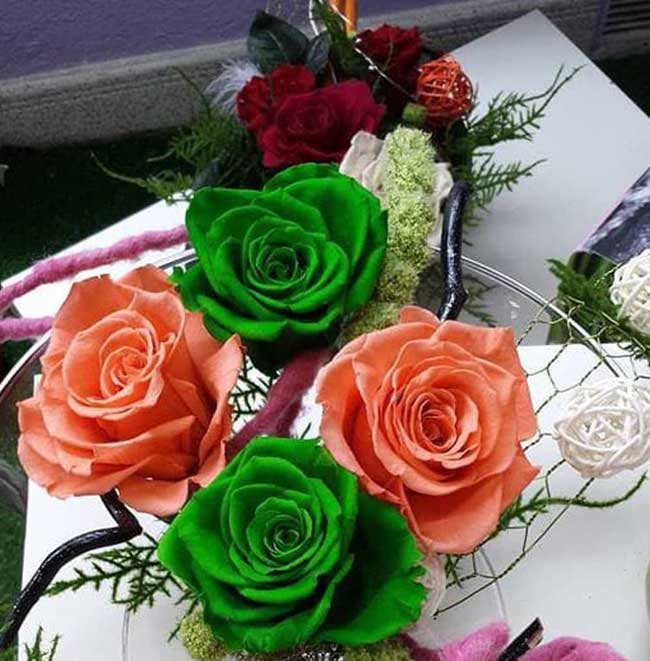  Rosas eternas