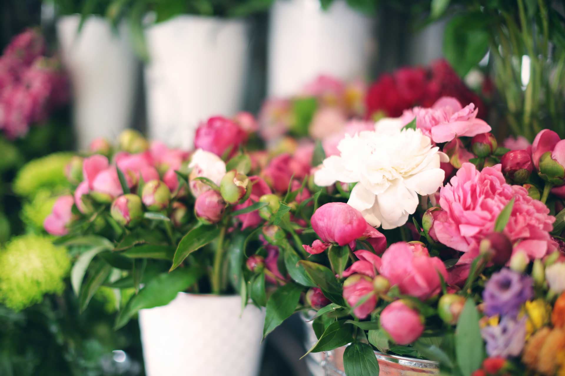 ¿Busca una floristería en Lugo? Visite Arte Floral Rabel