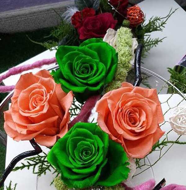 Flores naturales y artificiales