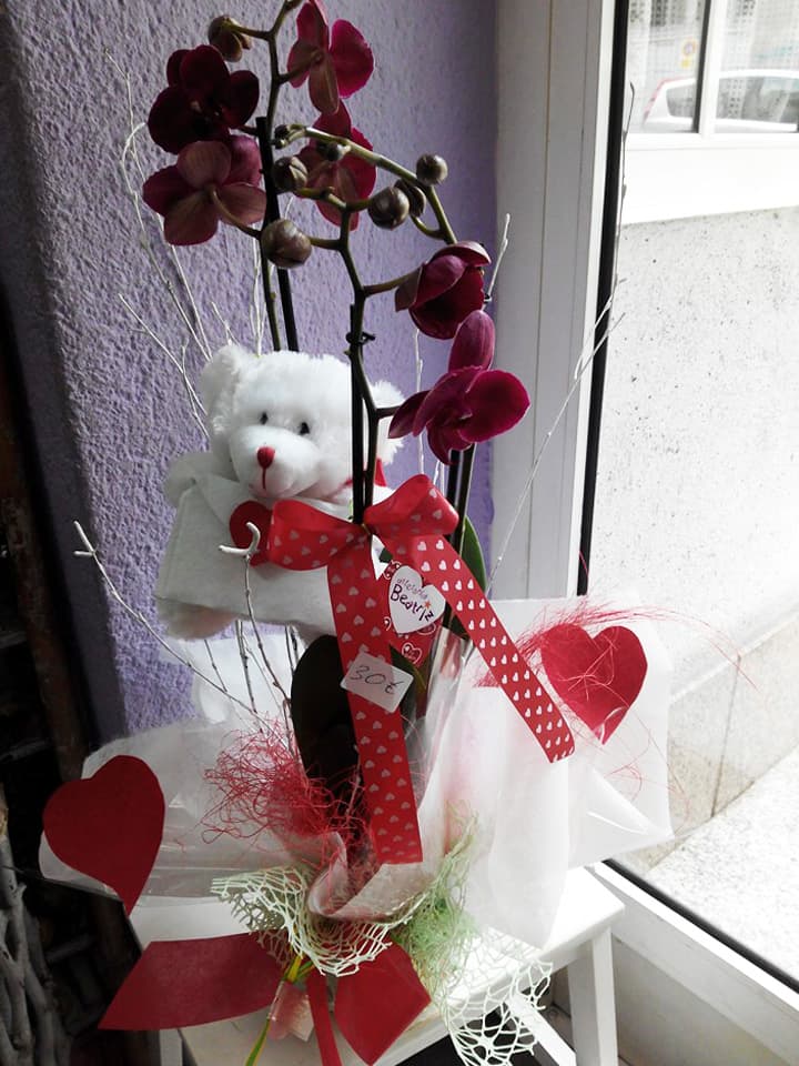 Arte Floral Rabel en Lugo