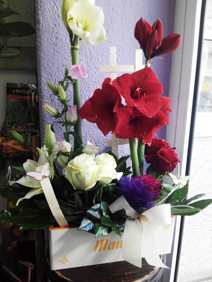 Arte Floral Rabel en Lugo