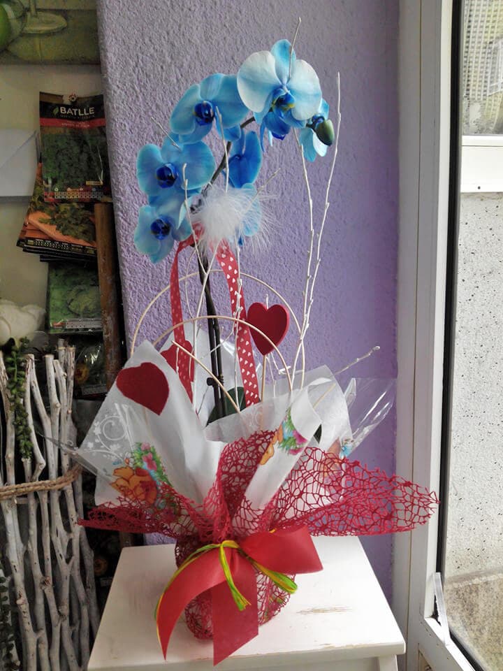 Arte Floral Rabel en Lugo
