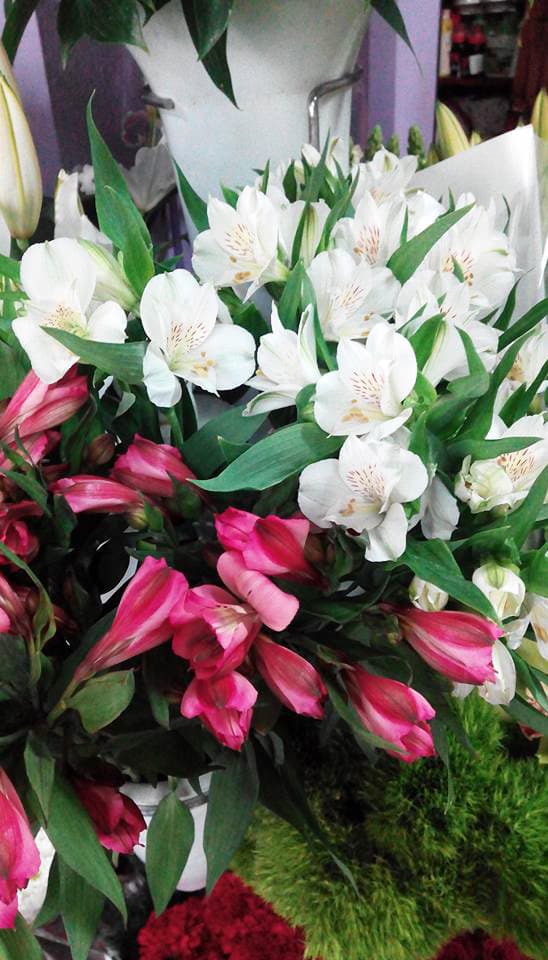 Arte Floral Rabel en Lugo
