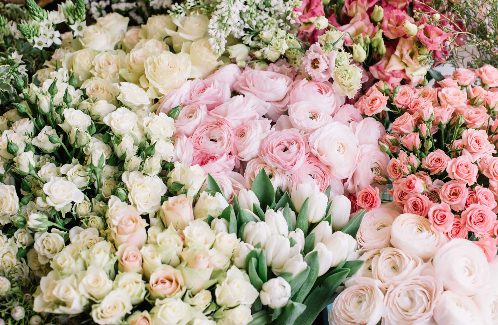 Visite Arte Floral Rabel